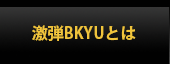 激弾BKYUとは